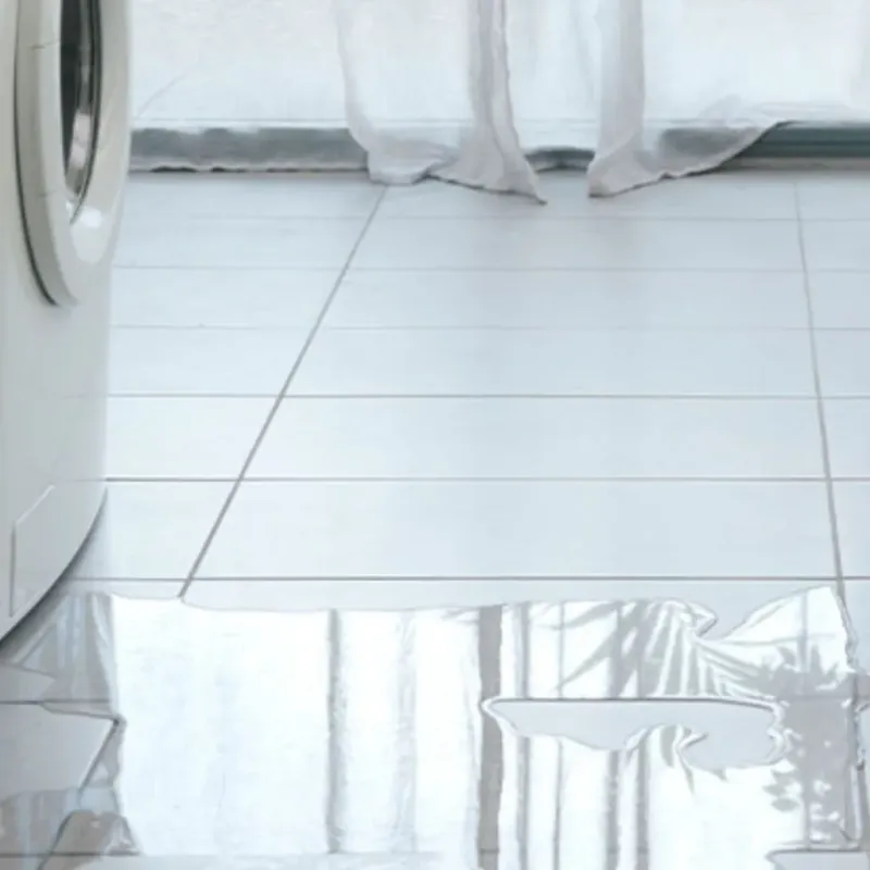 Appliance Leak Cleanup in Carbondale, IL