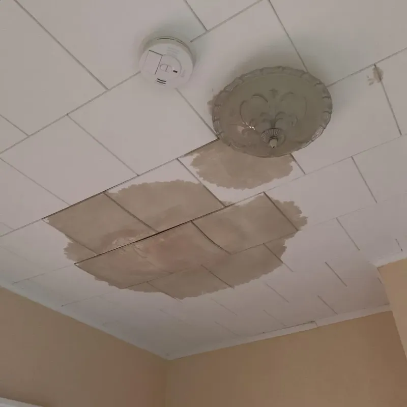 Ceiling Water Damage Repair in Carbondale, IL