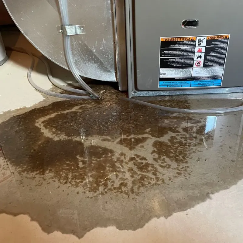 Pipe Burst and Leak Restoration in Carbondale, IL