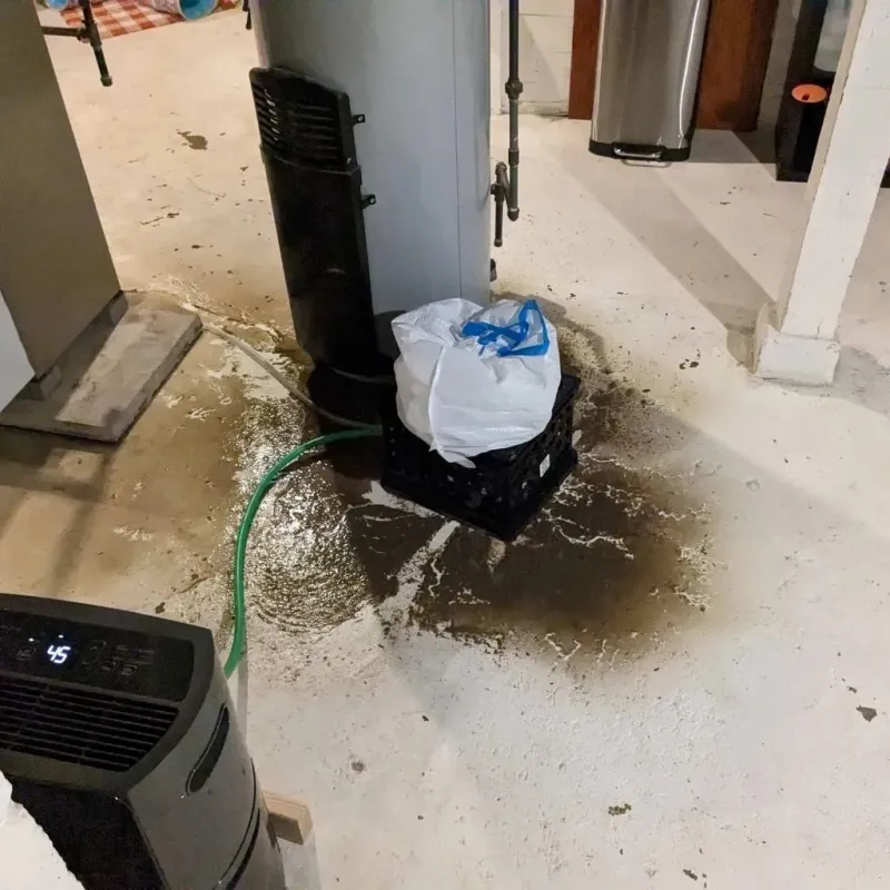 Sewage Backup Cleanup Service in Carbondale, IL